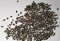 image of chia seeds to be cooked