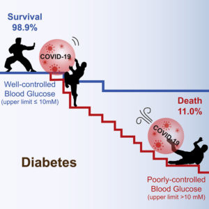 This image illustrates the different COVID-19 outcomes depending on whether blood glucose is under control or no